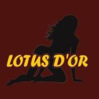Le Lotus d'Or Domérat Logo